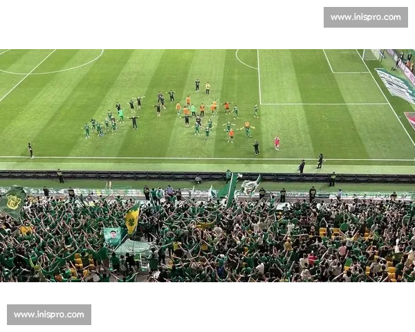 国安精彩对决全程直播即将开启球迷热情点燃赛场氛围